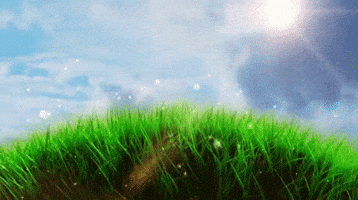 grass GIF grass GIF