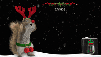 Christmas Eve GIF by Lynx