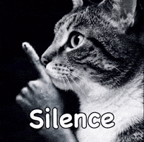 Silence Stop Talking GIF