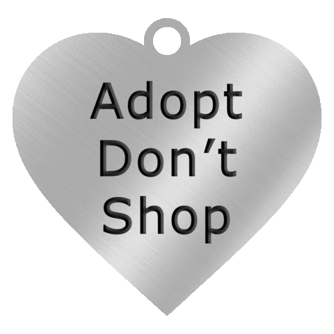 San Bernardino County Public Health Sticker