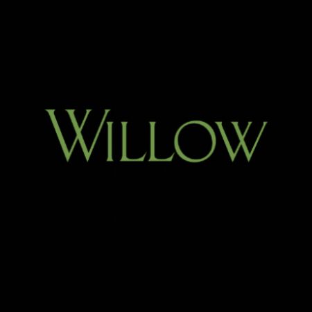 Willow GIF by TheWillowSchool