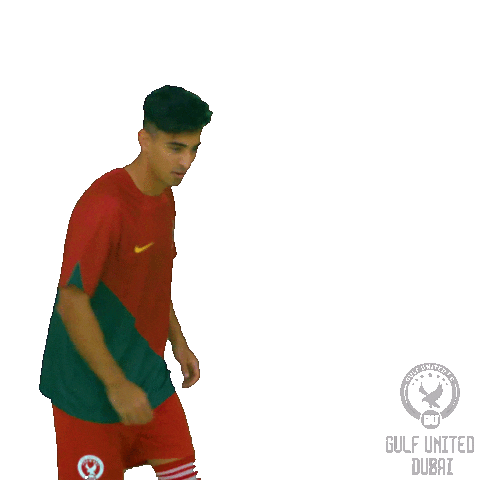 Cristiano Ronaldo Football Sticker by Gulf United FC