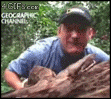 snake fail GIF