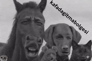 Huseyin Fare GIF