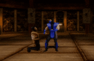 Mortal Kombat Mythologies Sub-Zero GIF