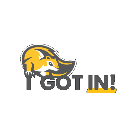 I Got In College Sticker by Mary Baldwin University