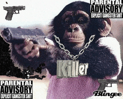 gun monkey giphy gifs