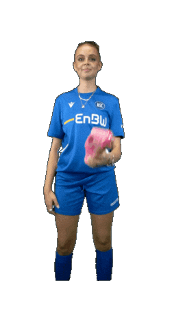 Ksc Sticker by enbw-ksc