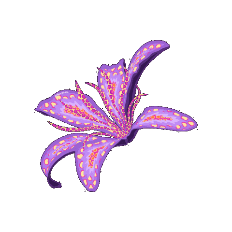 Flower Febrero Sticker