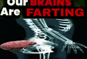 Our Brains GIF