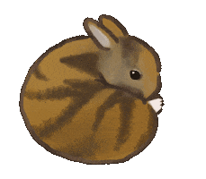 Rabbit Yes Sticker
