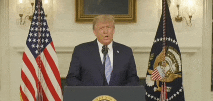 Donald Trump GIF by GIPHY News