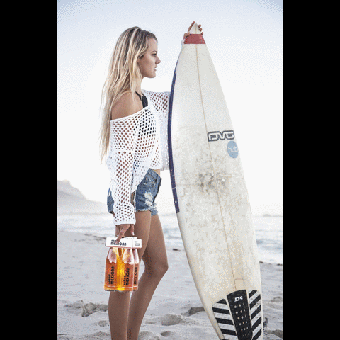 GIF by Boston Breweries