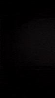 Merry Christmas GIF by Bernardson