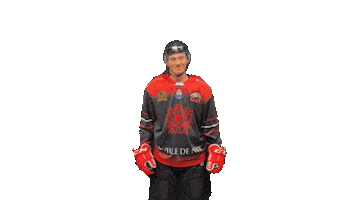 Les Aigles de Nice Sticker