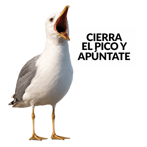Proyectolibera Sticker by ecoembes