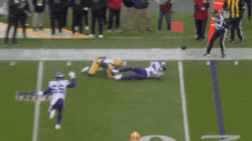 Celebration No GIF by Minnesota Vikings