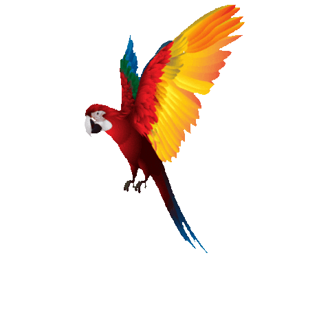 Animated Sticker
