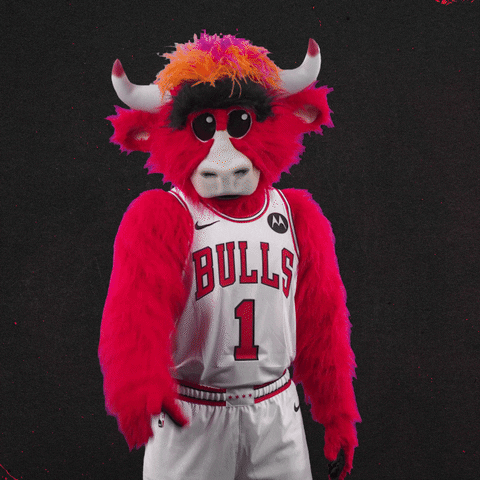 Red Bull No GIF by Chicago Bulls