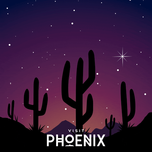 Desert Arizona GIF by Visit Phoenix
