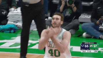 Luke Kornet Sport GIF by Boston Celtics