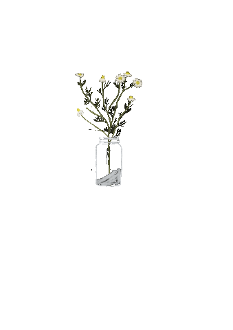 Flowers Sticker