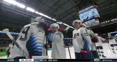 Ice Hockey W GIF by USA Hockey