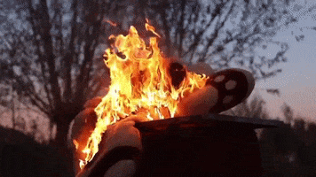 200.gif?cid=fc005b08cffd30b7322d9c6b616323bde513b476a619046e&rid=200.gif&ct=g