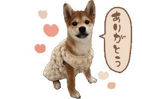 しばいぬ Sticker