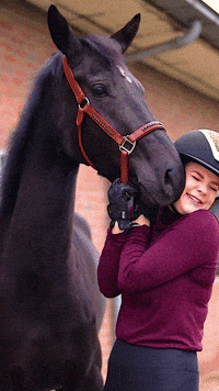 Leather halter Bling Your Horse