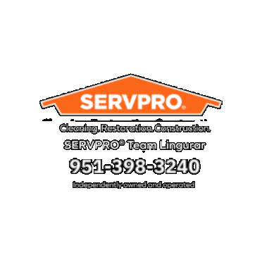 SERVPRO Team Lingurar Sticker