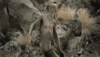 angry the lord of the rings GIF - angry the lord of the rings GIF