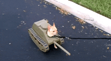 Video gif. A small dog skitters its feet beneath a tank costume as its head pokes out and someone holds onto its leash.