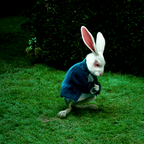 Image result for white rabbit gif