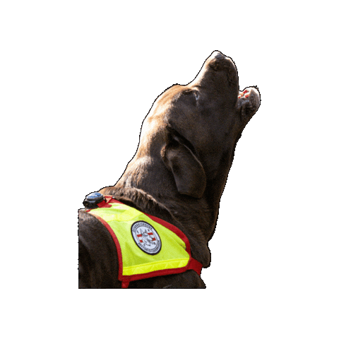 Rettungshund Sticker by Österreichische Rettungshundebrigade