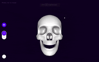 3D Skull GIF by Inspirit VR