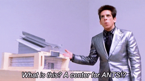 Center For Ants GIFs - Get the best GIF on GIPHY