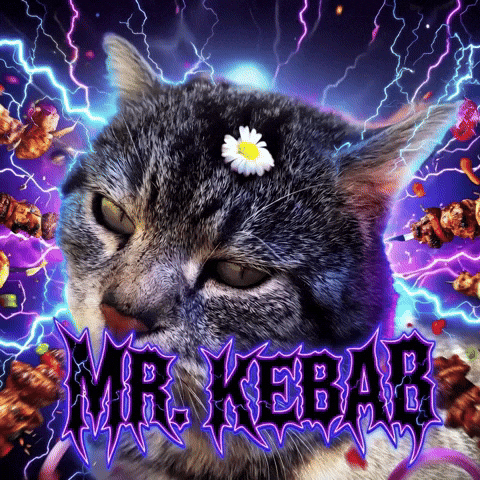 Cat Kebab GIF