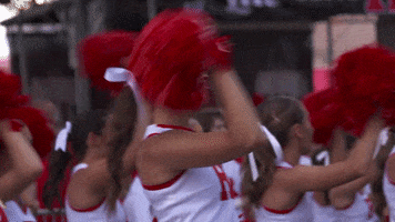 GIF by Rutgers Football