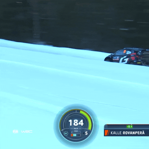 Sport Driving GIF by FIA World Rally Championship