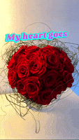 Red Roses Love GIF by Everlasting Norway