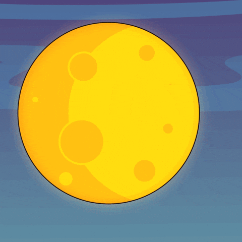 Howling Full Moon GIF by VeeFriends