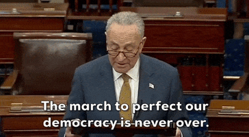 Chuck Schumer Congress GIF by GIPHY News