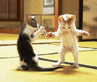 Party-dance GIFs - Get the best GIF on GIPHY