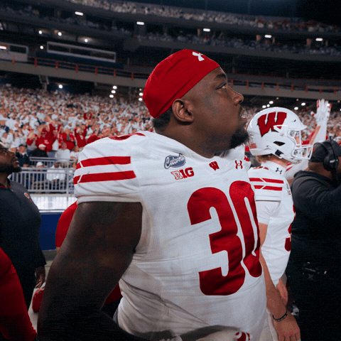 Celebrate College Football GIF by Wisconsin Badgers