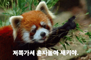Jjitjam GIF