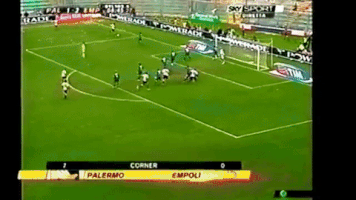 MichelePelacci makinwa di testaaaa GIF