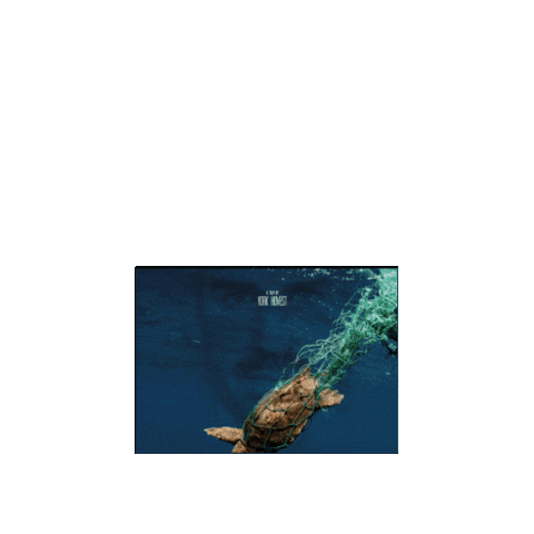 Documentary Award Sticker by Stefan Marquard