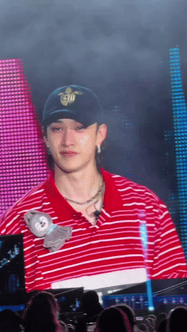 Straykids GIF