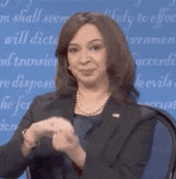 Maya Rudolph Snl GIF by Saturday Night Live